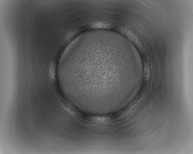 X0000111810255200908061121