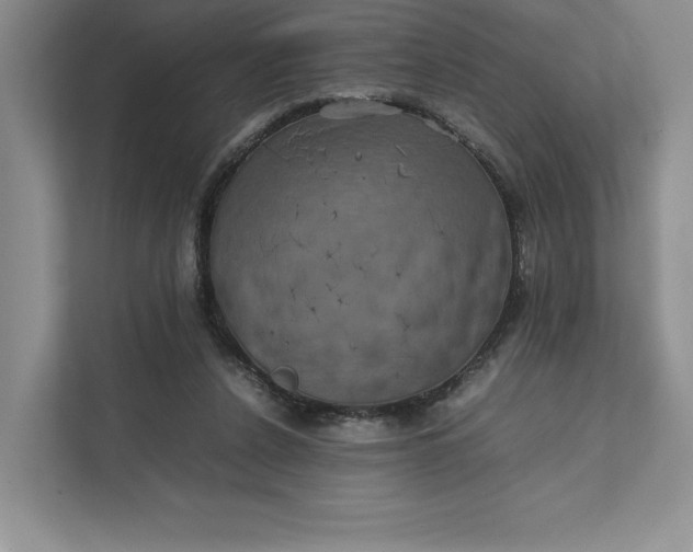 X0000111810256200908061121