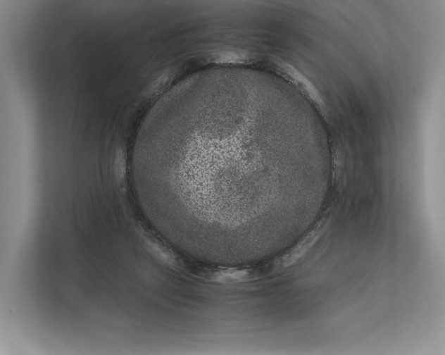 X0000111810257200908061121