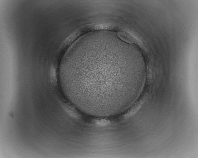 X0000111810258200908061121