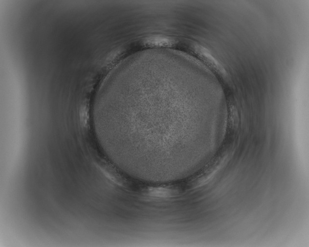 X0000111810259200908061121