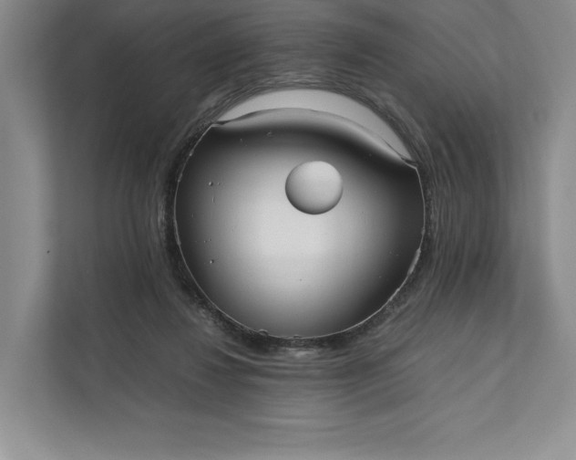 X0000111810260200908061121