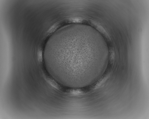 X0000111810262200908061121