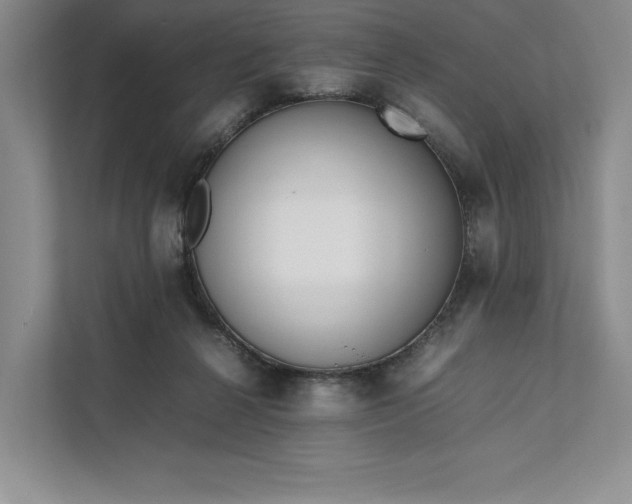 X0000111810264200908061121