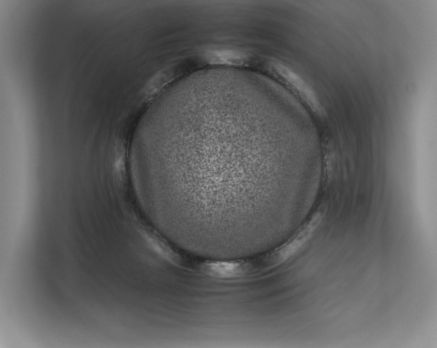 X0000111810265200908061121