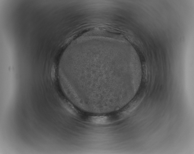 X0000111810266200908061121