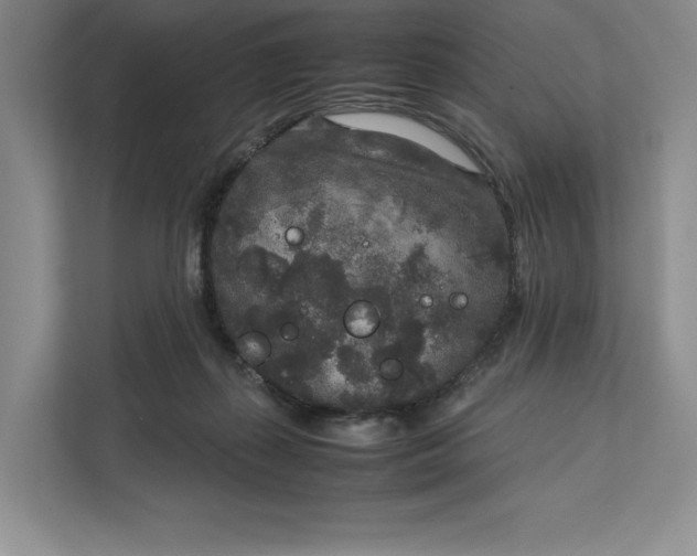 X0000111810267200908061121