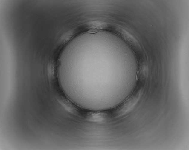 X0000111810268200908061121