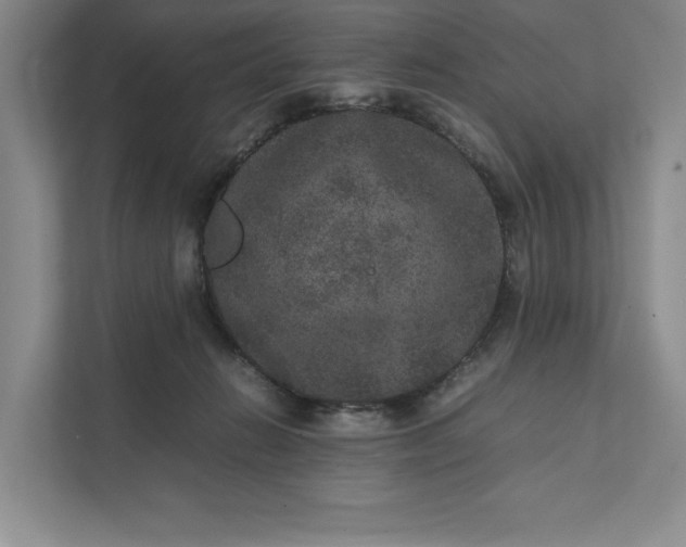 X0000111810270200908061121