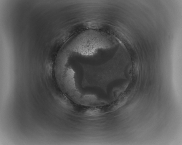 X0000111810271200908061121