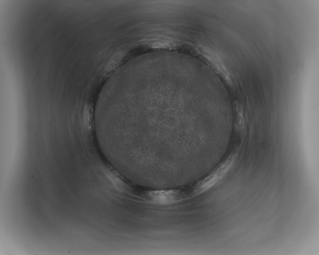 X0000111810273200908061121