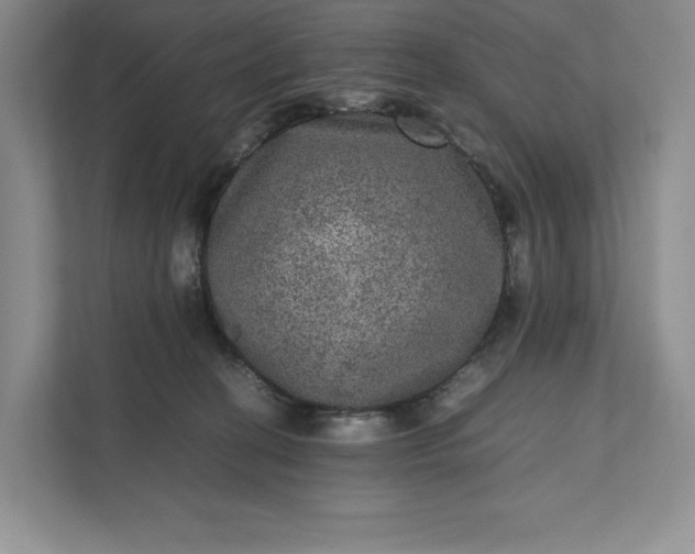 X0000111810274200908061121