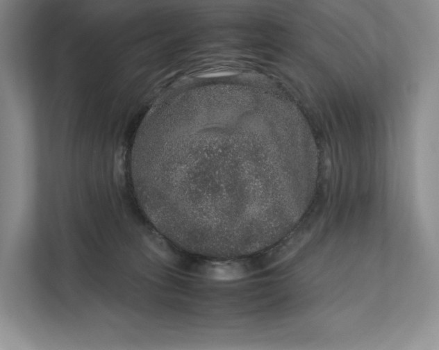 X0000111810275200908061121