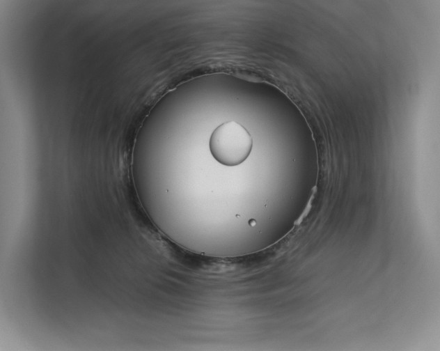 X0000111810276200908061121
