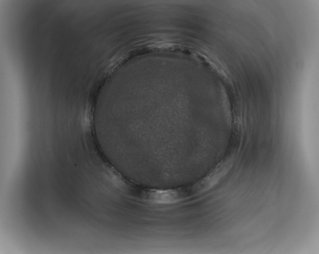 X0000111810277200908061121