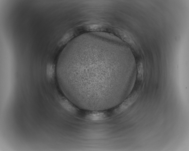 X0000111810278200908061121