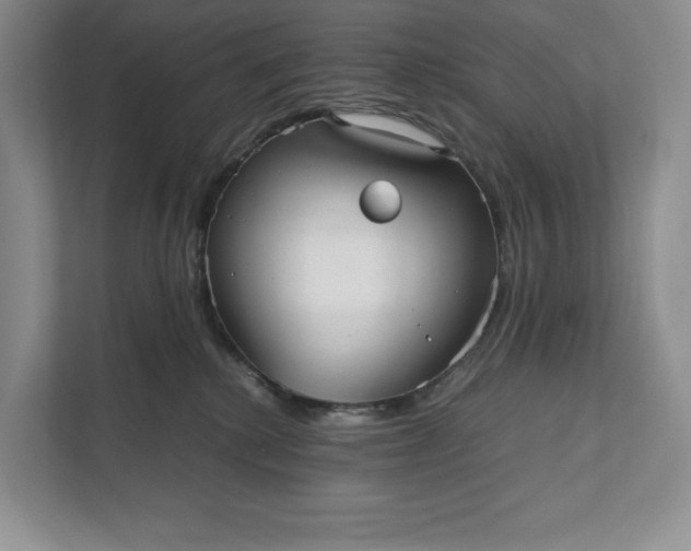X0000111810280200908061121