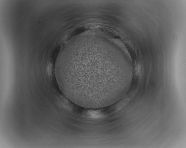 X0000111810283200908061121