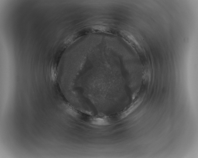 X0000111810285200908061121
