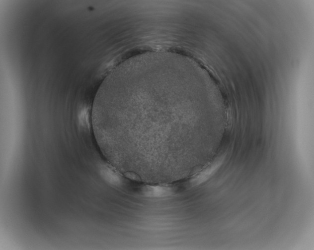 X0000111810286200908061121