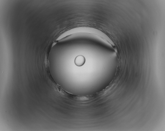 X0000111810287200908061121