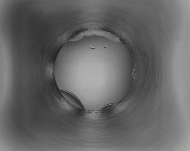 X0000111810288200908061121