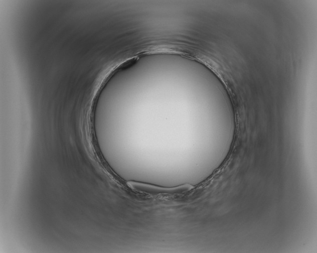X0000111810289200908061121