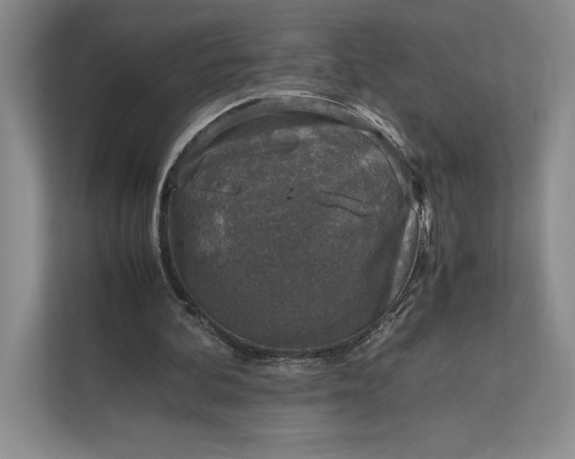 X0000111810292200908061121