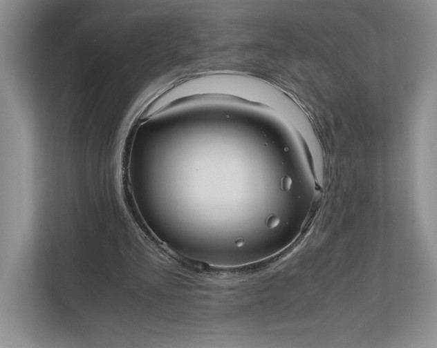 X0000111810293200908061121