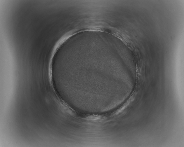 X0000111810294200908061121