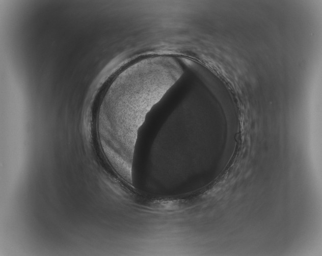X0000111810295200908061121