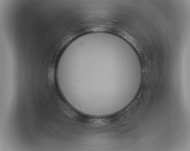 X0000111810297200908061121