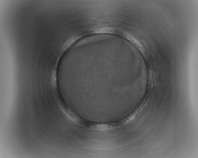 X0000111810298200908061121