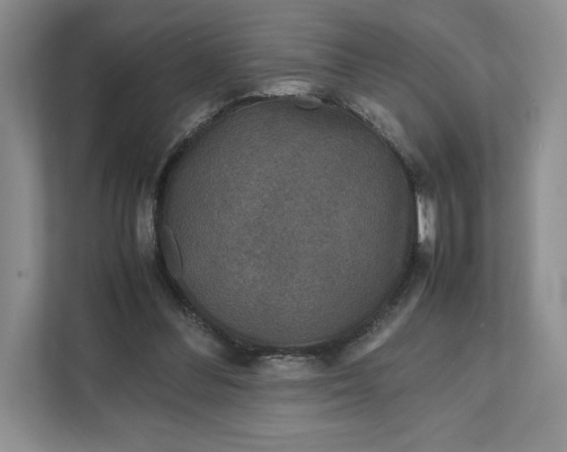 X0000111810300200908061121