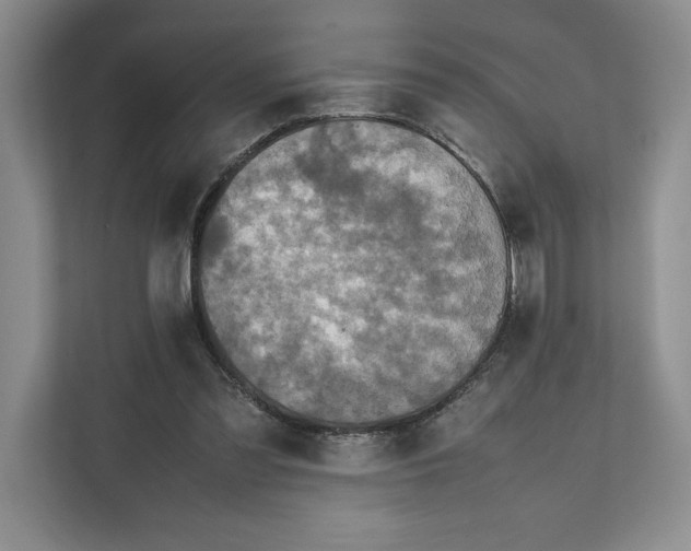 X0000111810301200908061121