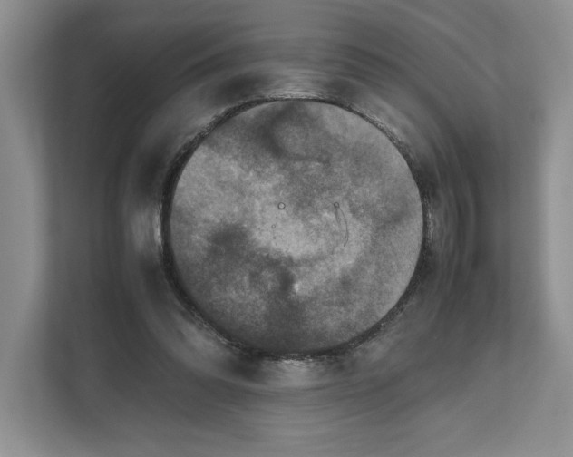 X0000111810302200908061121