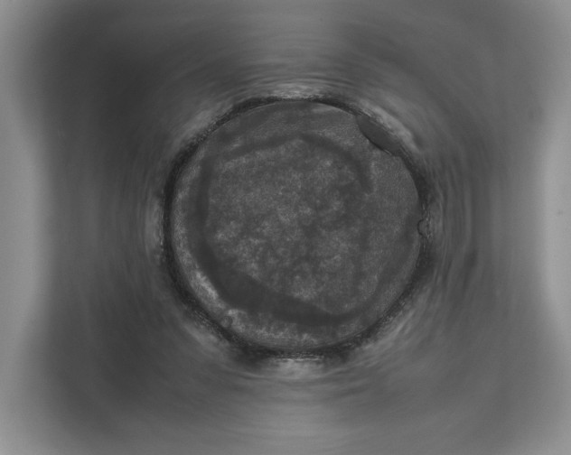 X0000111810303200908061121