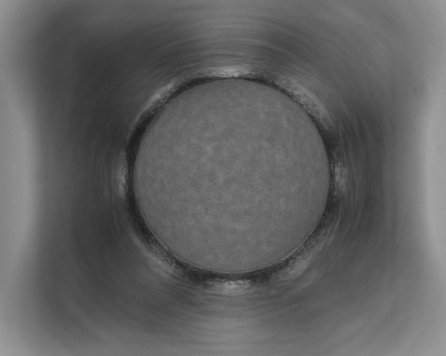 X0000111810304200908061121