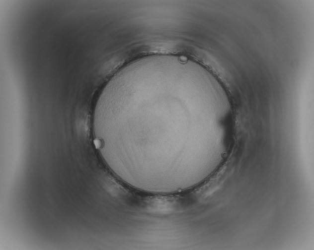 X0000111810305200908061121
