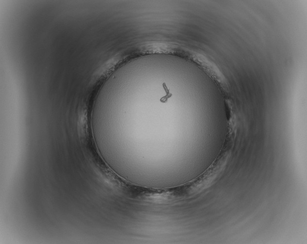 X0000111810306200908061120