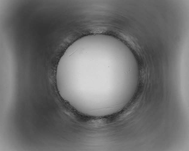 X0000111810307200908061120