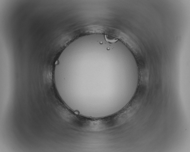 X0000111810309200908061120