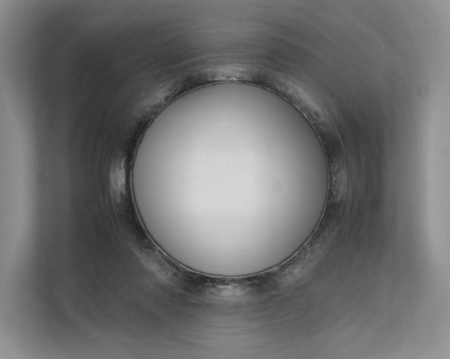 X0000111810310200908061120