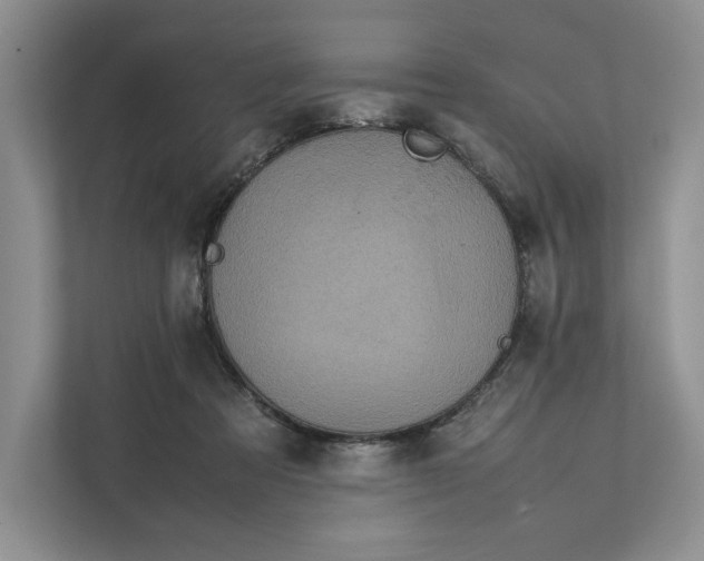 X0000111810313200908061120