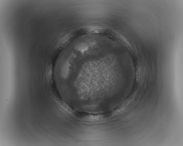 X0000111810314200908061120