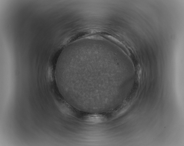 X0000111810316200908061120