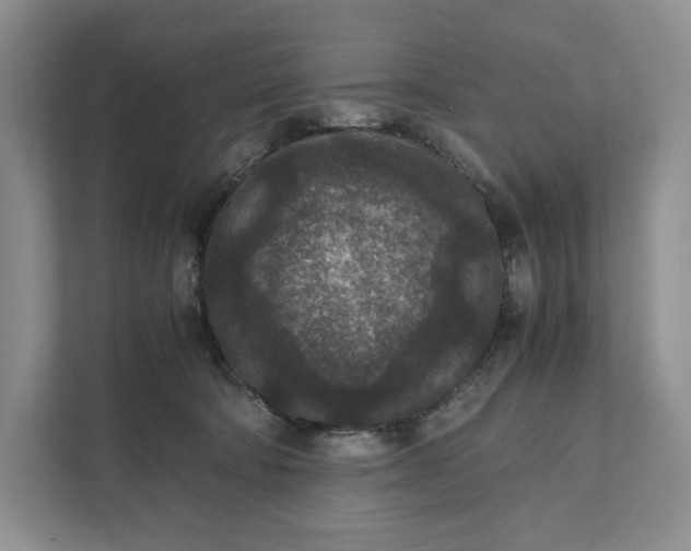 X0000111810322200908061120