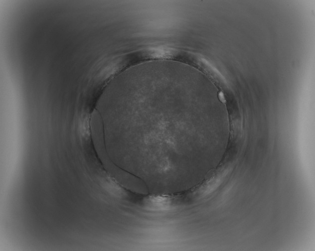 X0000111810325200908061120