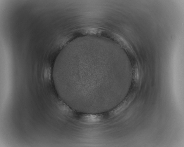 X0000111810326200908061120