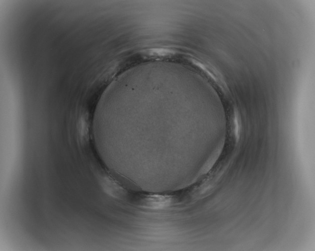 X0000111810328200908061120